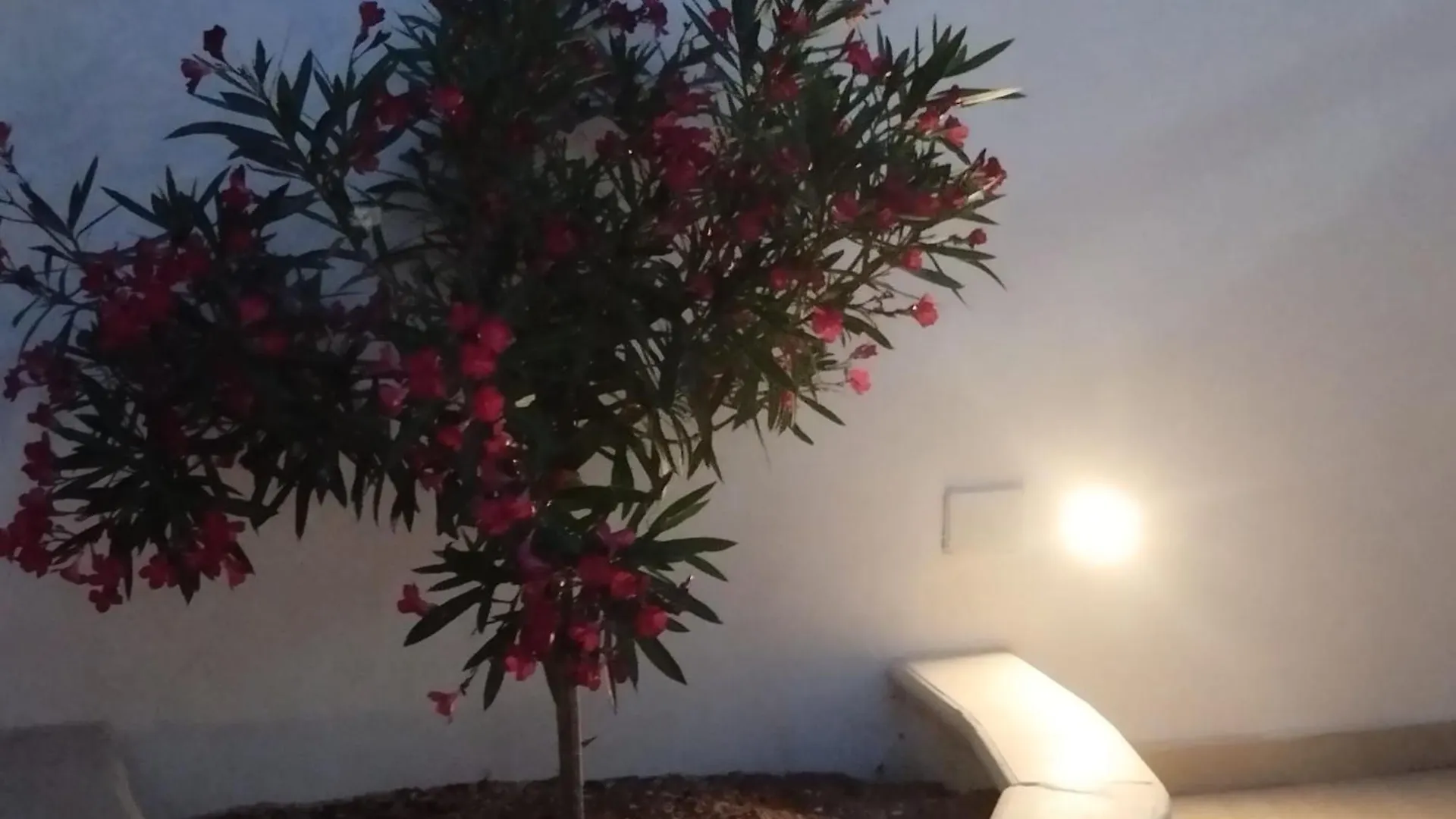 Casa vacanze Le Calette Residence LMP